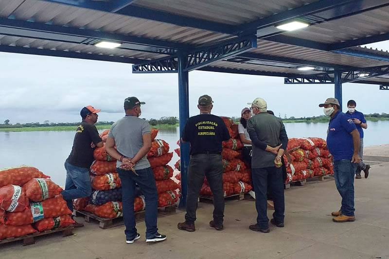 Fiscais da Adepará inspecionam carga de citros, em Monte Alegre