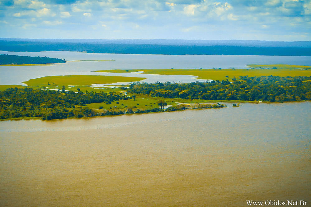 Preservem a Amazônia! 