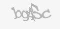 Código de segurança