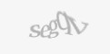Código de segurança