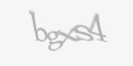 Código de segurança