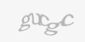Código de segurança